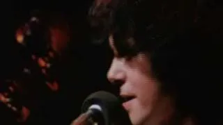 Donovan - Catch the Wind (live on "The Secret Policeman's Other Ball" 1981)
