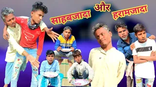 Sahabjada aur Haramjada | सहाबजादा और हरामजदा | surjapuri Hindi comedy video | Lovely fun joke |LFJ