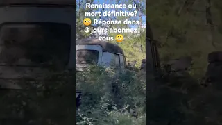 Épave Renault estafette en Corse. reverra-t-elle la route ou finira-t-elle sous les ronces ? j-3 😳