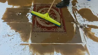Have you ever seen a carpet this dirty - satisfying carpet cleaning (ASMR)