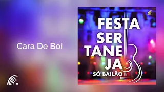 Gino & Geno - Cara De Boi - Festa Sertaneja - Só Bailão