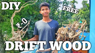 How to make drift wood in hindi || free drift wood || make DIY drift wood at home for free#driftwood