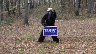 BIGFOOT ENDORSES TRUMP