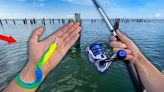 Fishing BIG BAITS for Saltwater GIANTS!! (Catch and Cook)