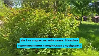 Та вже навчіться за себе платити, дешевше обійдеться