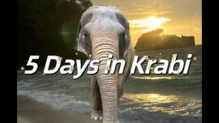 5 DAYS IN KRABI, THAILAND | Islanding hopping, elephant sanctuary, cafes, night markets, and more!