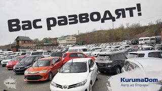 Где купить авто дешевле? Аукцион или авторынок? Зеленый угол. 0+