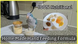 How to make hand feeding formula for baby parrot at home | Home made hand feeding mix 🦜