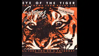 Survivor - Eye of the Tiger - Cover By Sandro Manicone