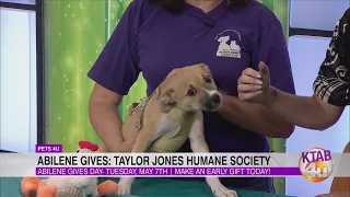 Abilene Gives: Taylor Jones Humane Society