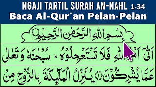 BELAJAR MENGAJI QURAN Cara Mudah Agar Cepat Lancar Membaca Alquran Tartil Pelan QS. AN NAHL 1-34