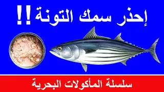 أضرار سمك التونة | أخطار الاكثار من تناول التونة