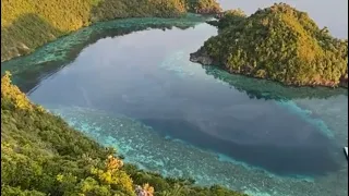 Welcome to Misool Indonesia 🇮🇩 #rajaampat #misool #indonesia #jellyfish #lovelake