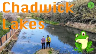 Chadwick Lakes Malta