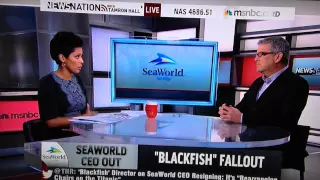 Author David Kirby Talks SeaWorld CEO Firing, Blackfish