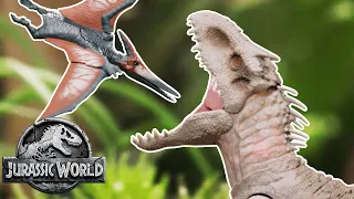 Dino Battles: Indominus Rex Vs. Pteranodon & Brachiosaurus | Jurassic World | Mattel Action!