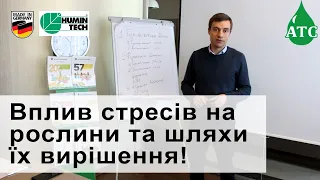 Вплив стресів на рослини та можливості їх вирішення