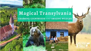 Magical Transylvania Virtual Tour: Countryside and Wildlife