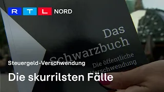 Die skurrilsten Fälle der Steuergeldverschwendung