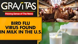 Gravitas | US: Bird Flu virus found in pasteurized milk, probe results awaited