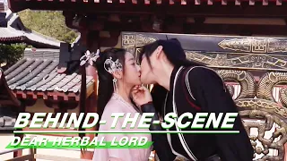 Behind-The-Scene: Embarrassing sweet kiss | Dear Herbal Lord | 亲爱的药王大人 | iQIYI