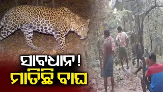 ବ୍ରେକିଙ୍ଗ@୧୦ || Breaking @ 10 AM Bulletin || 10 November 2023 || Kalinga TV