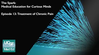 The Spark, Episode 13: Treatment of Chronic Pain