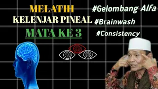 Melatih kelenjar pineal(mata ketiga) | KH Buya Syakur Yasin MA