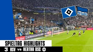 NÄCHSTER HEIMSIEG 💙🔥 HSV SCHIESST HERTHA BSC AUF PLATZ 18 ‼️🤯🤯🤯