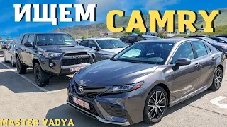 ПОИСК Camry 70. ЕВРОПЕЙСКИЕ авто в Грузии.  Авто из США. Покупка авто в Грузии. Мастер Вадя.