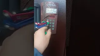 Домофон CYFRAL CCD-2094. 1M/P