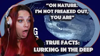 *Oh Nature. I'm not freaked out, you are* True Facts: Lurking in the Deep by Ze Frank