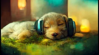 11 HOUR LoFi Dog Pet Therapy Music, Lo-Fi , CALMING MUSIC for Studying, & PET SEPARATION ANXIETY!