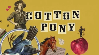 Cotton Pony