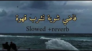 فاضي شوية  // fady shewaya ( slowed + reverb )