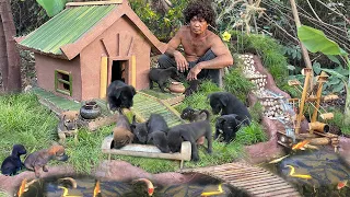 Build mud dog house for rescue dog and fish pond , make mud house for puppies rescue #dog