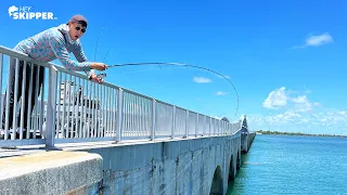 These Fishing Spots Have SO MANY FISH! Key West Bridge Fishing