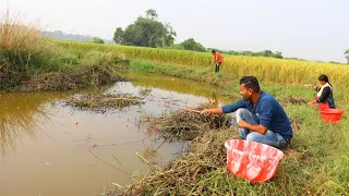 Fishing Video || Don't believe it until you see the endless fish stocks in the village canal