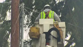 Wind, rain pummel North Puget Sound