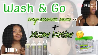 Wash & Go Using Design Essentials Mousse + Wetline Xtreme Gel! (Using the Shingling Method)