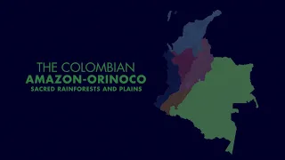 THE COLOMBIAN AMAZON ORINOCO