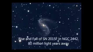 The Rise and Fall of Supernova 2015F