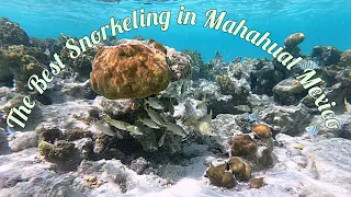 The Best beach for Snorkeling in Mahahual Costa Maya Mexico