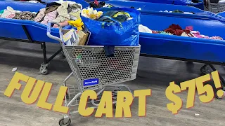 My Cart was Overflowing! HUGE Goodwill Outlet Bins Haul to Resell for Profit on Poshmark & eBay