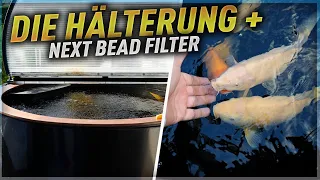 SENSATIONELL:  DIE HÄLTERUNG + NEXT BEAD FILTER