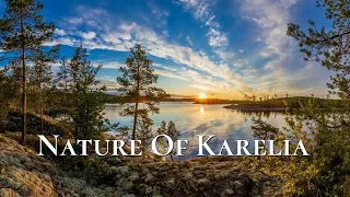 Nature of Karelia (Russia) Summer walk, Relax Film.