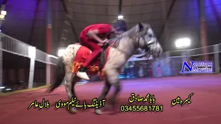 lucky irani circus 45 pind dadan khan