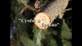 Сучёк и бревно!