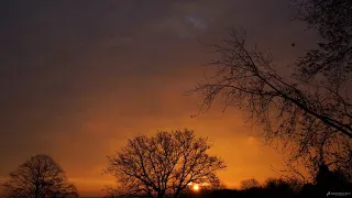 Wintersun - Loneliness (Winter)