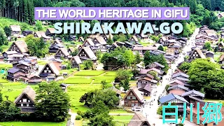 [世界遺産] 白川郷・古い民家・美しい風景｜日本文化|The World Heritage in Gifu `SHIRAKAWA-VILLAGE Walking Tour 4K